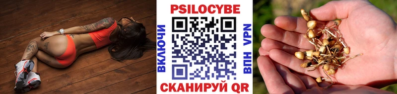 Купить где  Всеволожск  Галлюциногенные грибы прущие грибы 